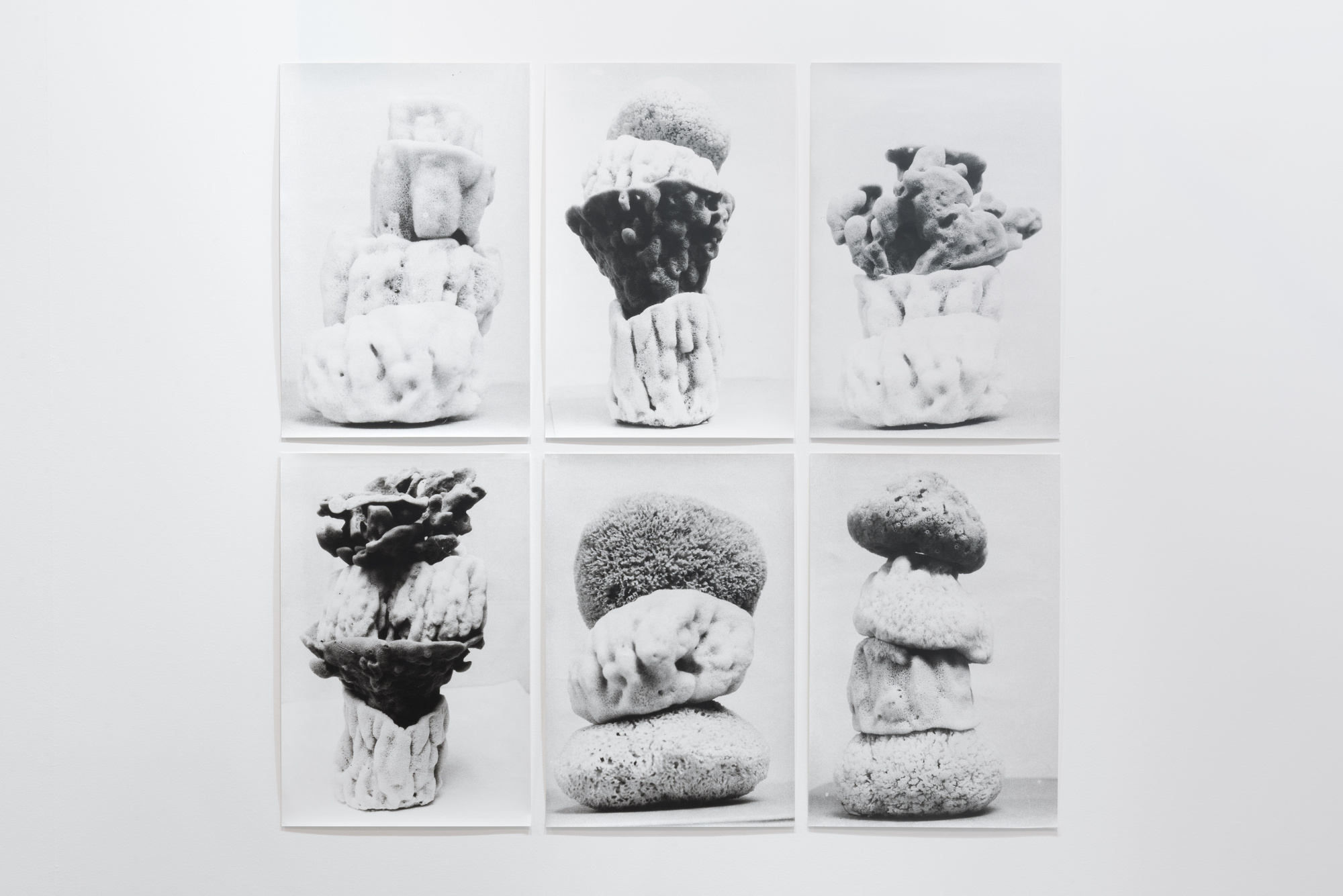 Schwammtürme (Spongetowers), 1995-2016, Jochen Lempert. Foto: Roberto Ruiz