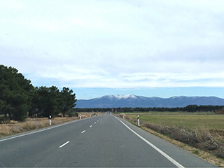 Viaje al centro de la colmena