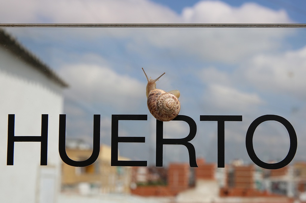 Huerto