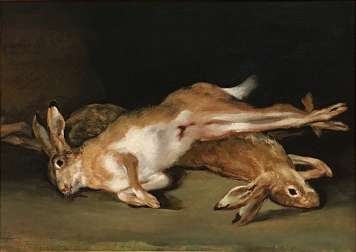 liebre