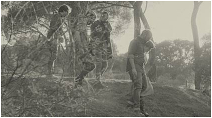 los punsetes