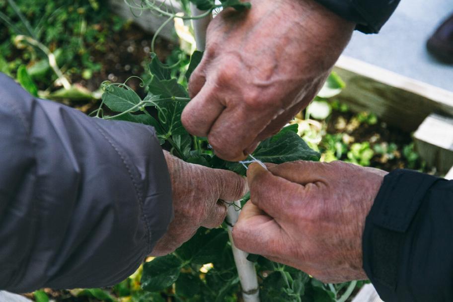 Taller de huerto en la terraza del CA2M, 2015. fotografía: María Eugenia Serrano Díez