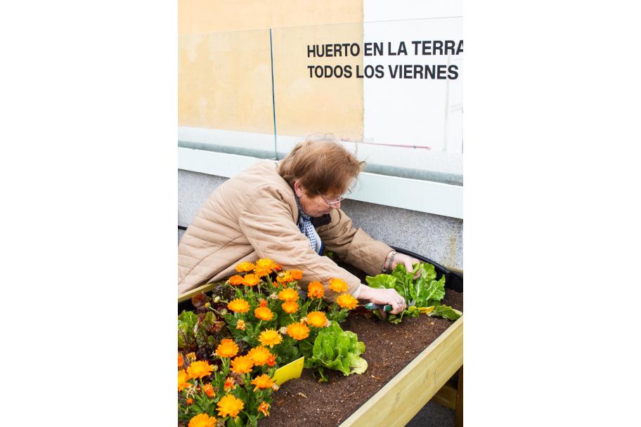 Taller de huerto en la terraza del CA2M, 2018. fotografía: María Eugenia Serrano Díez