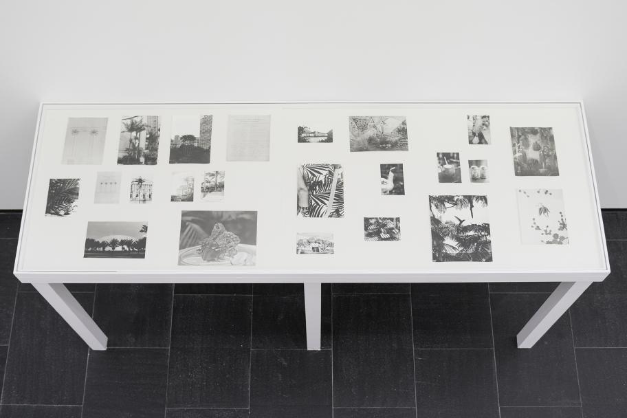 Exposición Jochen Lempert CA2M. Foto: Roberto Ruiz