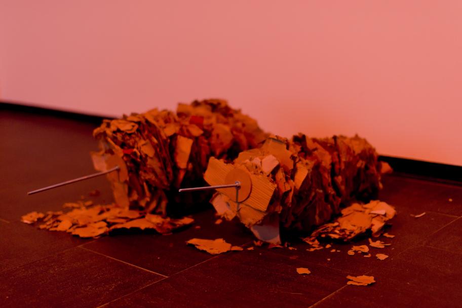 Exposición Julia Spínola en CA2M. Fotografías: Arantxa Boyero