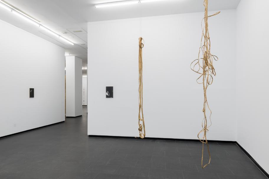 Exposición Rometti Costales en el CA2M. Foto: Alejandro Cayetano