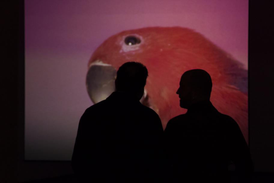 Exposición Charlotte Moth en CA2M. Fotografía: Patricia Nieto