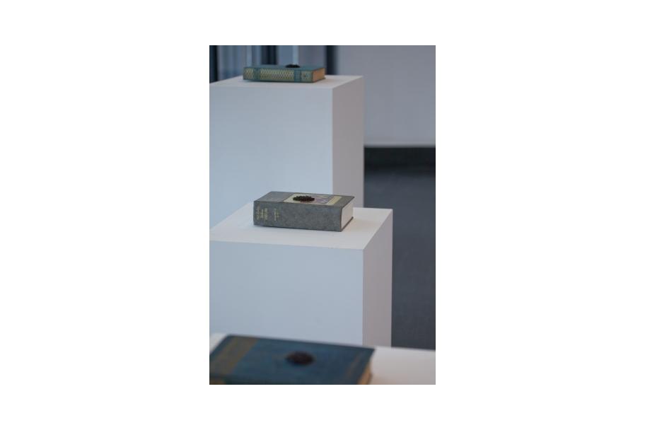 Estación experimental