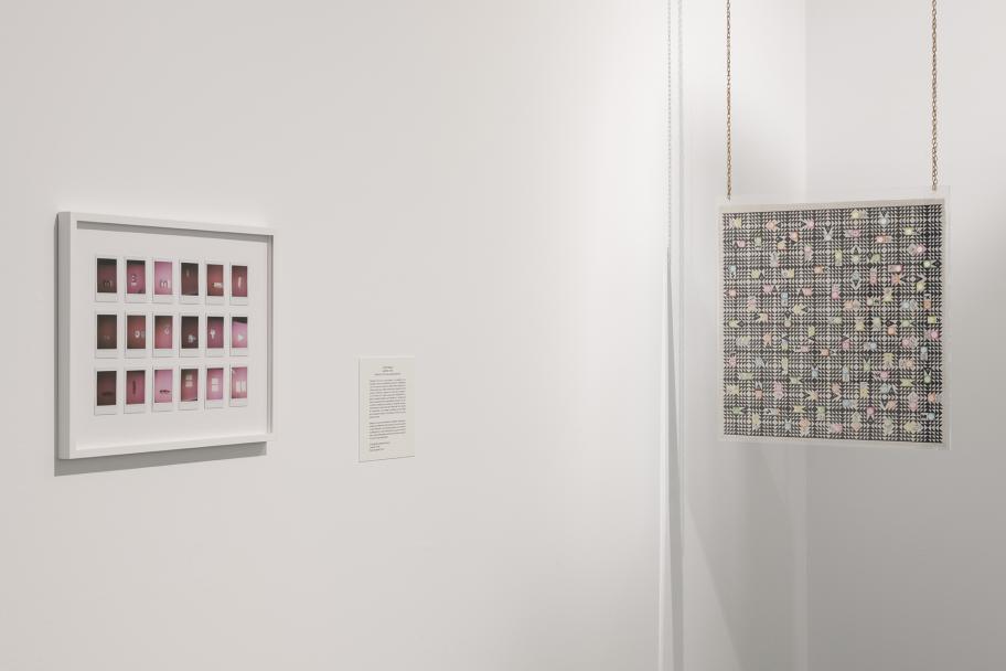 Costa Badía y Antonio de la Rosa