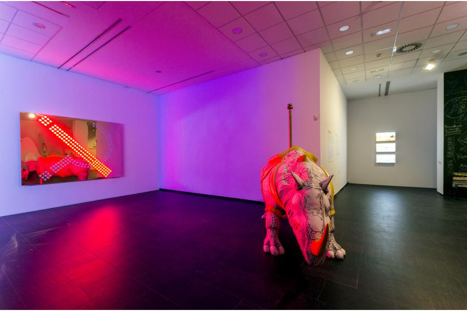 Raqs Media Collective