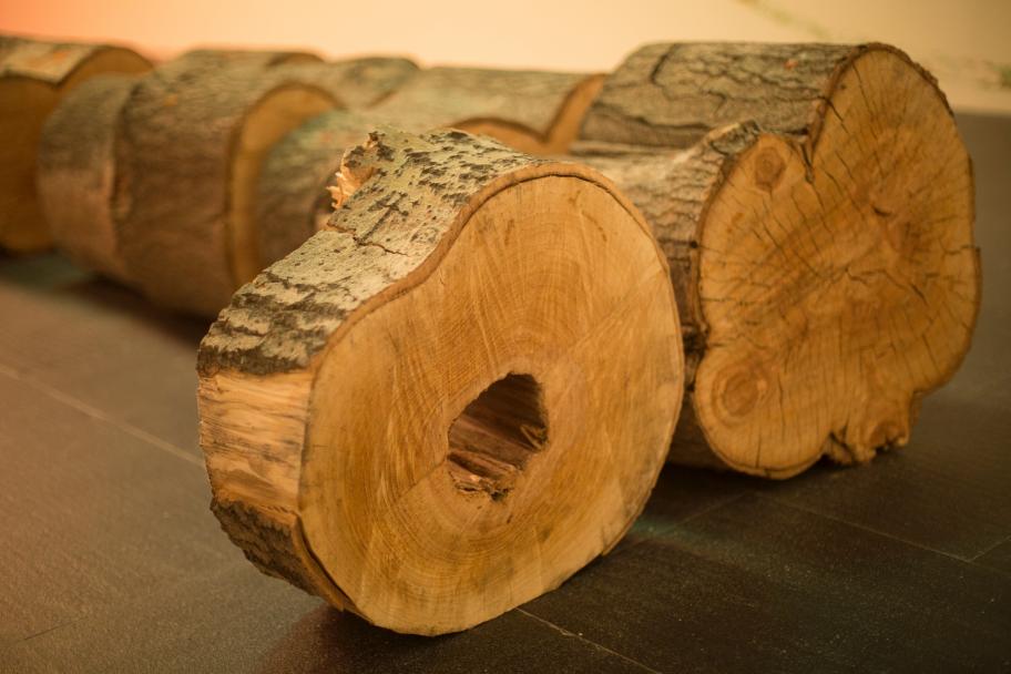 Javi Cruz. Trémula.