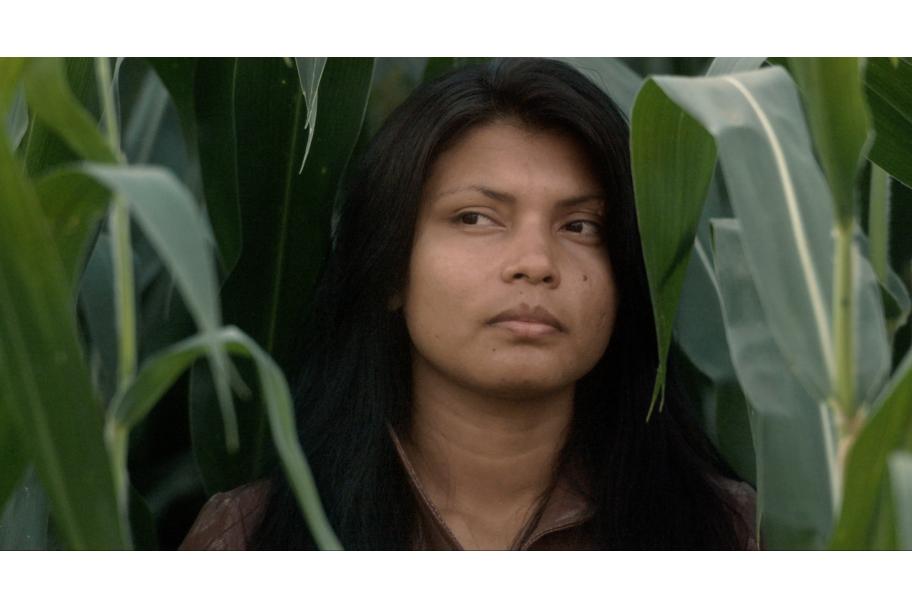 Pedro Neves. YWY, Visions