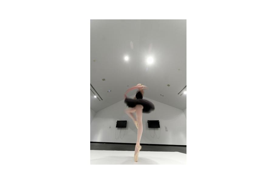 Día de intensidad 2014