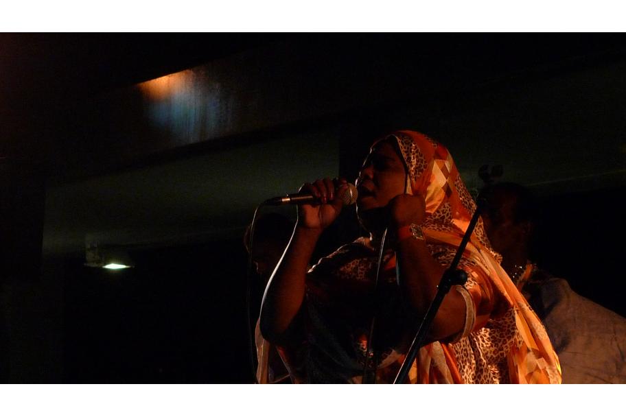 Sublime Frequencies Tour 2009