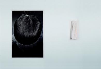 Main image of the artwork Sans titre