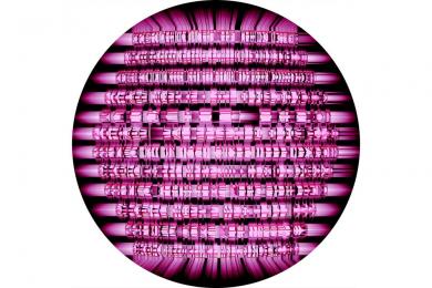 Main image of the artwork Not of her Body,  her Thoughts can Kill: Dulcinea 2000