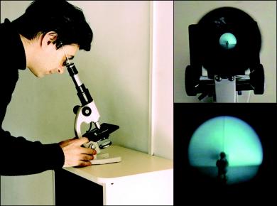 Main image of the artwork Pequeños mundos privados