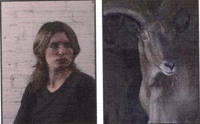 Imagen principal de la obra Parallel Universes Meet at Infinity