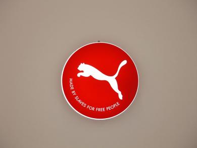 Imagen principal de la obra Proyecto Asia (Puma)