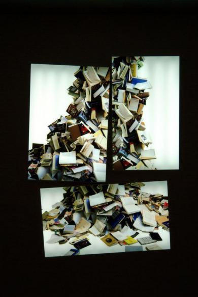 Imagen principal de la obra Dislexia